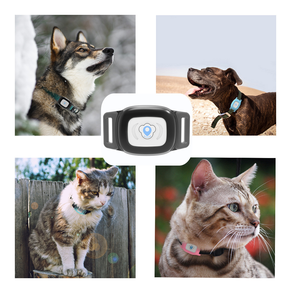 Imperméable IP67 MiNi GPS Pour Animaux de compagnie LB Traqueur de Suivi Collier Localisateur Pour Chiens Chats AGPS LBS SMS Positionnement Geo-fence dispositif de piste