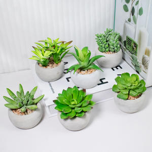 Nouveaux pots à succulentes en céramique plastique artificielle, décoration de bureau mignonne et réaliste, pots à succulentes uniques - Product Image 2