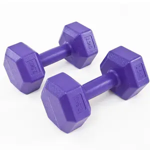 Factory Wholesale 22 Lbs Hexagon Dumbbell Lifting Equipment Workout Dumbbel