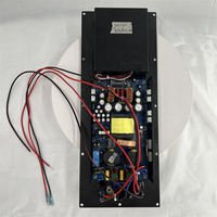 Carte de Module d'amplificateur de puissance 800w Caisson de basses professionnel de classe D pour équipement Home TV Karaoké