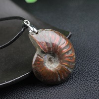 Cristal naturel Madagascar tacheté escargot fossile pendentif chrysanthème spécimen minéral coquille collier modèle en pierre