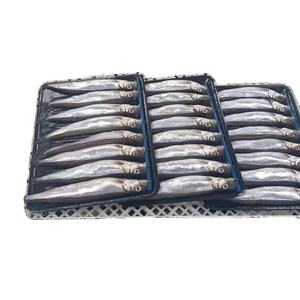 Mallotus Villosus <span class=keywords><strong>Shishamo</strong></span> ปลากระพงแช่แข็ง - Product Image 1