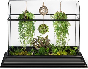 Nouveau Style Plante Carrée Terrarium Conteneurs <span class=keywords><strong>En</strong></span> Verre <span class=keywords><strong>Kit</strong></span> De Jardin Serre Au Sol pour Plantes D'orchidées Grande Croissance Pour La Maison Intérieure - Product Image 1