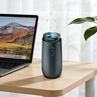 Nébuliseur rechargeable à piles avec boîtier métallique, logo personnalisable, diffuseur d'aromathérapie portable sans eau pour voiture et maison