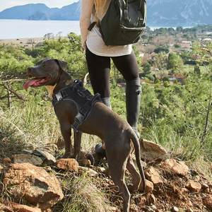 <span class=keywords><strong>Harness</strong></span> Anjing Ukuran Sedang-Besar, Dapat Disesuaikan, Tahan Lama, Anti Tarik, Dilengkapi Pelindung, Bahan Polyester, Bernapas, Anti Selip, <span class=keywords><strong>Harness</strong></span> Dada untuk Hewan Peliharaan - Product Image 6