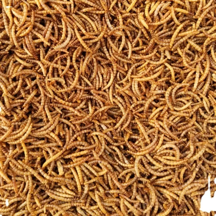 चीन आपूर्तिकर्ता थोक सस्ते कीमत सूखे mealworms पक्षी मछली पालतू पशु खाद्य के लिए
