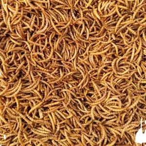 China Supplier Wholesale cheap price dried mealworms for bird fish pet food