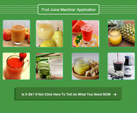 Mango Tomaat Weegbree Pulp Juicer Maken Machine Extractor Bananensap Verwerkingslijn