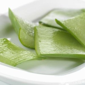 Máquina peladora <span class=keywords><strong>Sabila</strong></span> para la producción de gel de <span class=keywords><strong>aloe</strong></span> - Product Image 2