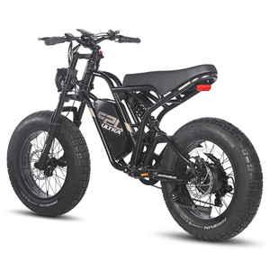 Vélo électrique EU Fafrees F20 ULTRA EBIKE, style motocross au profil bas, moteur brushless 750W, propulsion arrière, haute puissance, longue autonomie - Product Image 5
