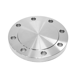 B16.5 CL 600 Duplex UNS s31803 rèn mặt bích mù bằng thép không gỉ A182 F51 - Product Image 2