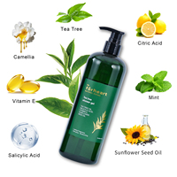 Gel de Ducha y Champú Blanqueador de Marca Privada OEM, Set para el Cuidado del Cabello para Mujeres, con Árbol de Té Orgánico, Anti-Picazón, para Piel Normal, 500 ml
