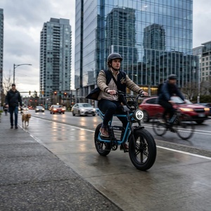 <span class=keywords><strong>Vélo</strong></span> électrique à pneus larges 7 vitesses, E-bike tout-terrain pour la conduite en cross-country et les loisirs - Product Image 5