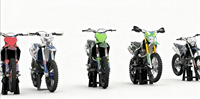 Bestseller 300cc Benzin 4-Takt Luftgekühltes Dirt Bike PR300 mit Knobby-Reifen, Kettenantrieb, Elektrostart, Rosa NIBBI Vergaser