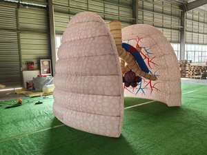 Modelo de Pulmón Humano Inflable Personalizado para Demostraciones en el Aula y Herramienta de Educación Médica - Product Image 3