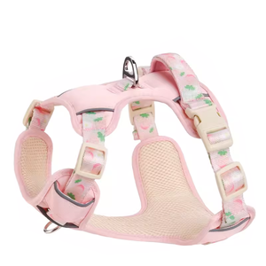 Essential No Pull Comfort Acolchado Oxford Arnés para perros Hebilla de seguridad y ajuste de anillo en <span class=keywords><strong>D</strong></span> para caminar o aventuras diarias - Product Image 2