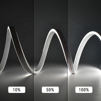 Ruban LED néon en silicone 0612mm 3000K 6000K pour aménagement paysager extérieur, étanche IP67, rouleau de lumière néon 9.6W 24V