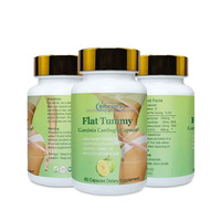 BIOCCHN Capsules Minceur Naturelles à Base de Plantes Brûleur de Graisse Abdominale Rapide Pilules Minceur Plus à Base de Plantes pour la Perte de Poids et la Combustion des Graisses