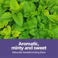 OEM ODM Siap Kirim Teh Spearmint Alami dalam Kantong Vegan Bebas GMO Mendukung Penyegaran Alami dan Kenyamanan 20 kantong
