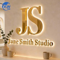 Enseigne rétroéclairée électroplaquée finition miroir du fabricant, logo LED mural, nom personnalisé, lumière LED pour studio, boutique