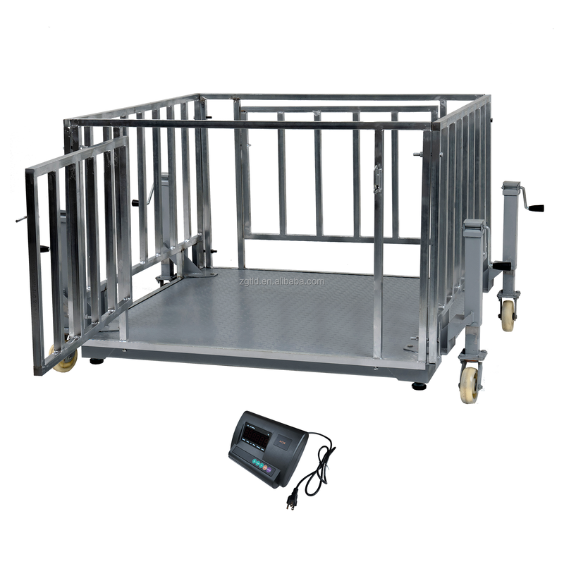 Many People Choose Poultry Animal Weighing