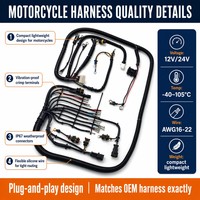 Harnais de câblage automobile personnalisé OEM ODM, assemblage de câbles moteur ISO9001