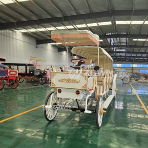 Carroza Eléctrica Turística Certificada por CE de ZOWN, Operada por Batería, de 4 Ruedas, de Lujo, para Bodas, Eventos, Recorridos Turísticos en Resorts, Servicio 2 - Product Image 3