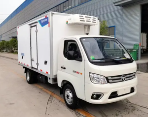 <span class=keywords><strong>Mini</strong></span> camion frigorifique Foton 4*2, camionnette congélateur, camions réfrigérés en promotion - Product Image 5