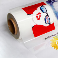 Vinyle thermocollant imprimable éco-solvant anti-sublimation pour impression sur tissu noir foncé pour t-shirts