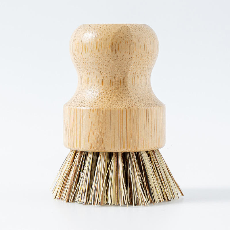 ต้นไผ่มะพร้าว