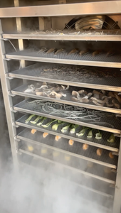 -196 ℃ Congelador de nitrógeno líquido de temperatura ultrabaja Congelador de nitrógeno líquido de mariscos comercial Congelación rápida de cinco minutos - Product Image 5