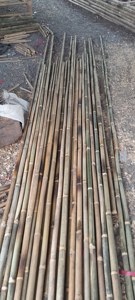 Vietnam Wholesale Bamboo Plant <b>Support</b> Sticks Small Diameter Bamboo Stakes Manufacturer Dried Bamboo <b>Tomato</b> Stakes - Product Image 2