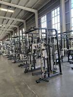 Smith Machine Gantry Home Gym Iron Power Squat Rack Multifonctionnel Tout-en-un Entraînement de Force Musculation Poitrine Acier Maison