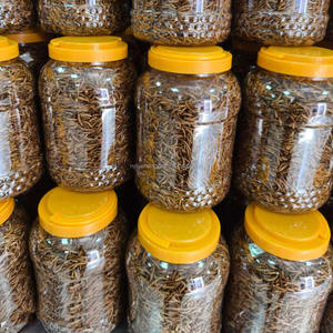 الديدان الصفراء المجففة لنمو العضلات النمس وجبة خفيفة عالية البروتين علاج بالجملة - Product Image 4