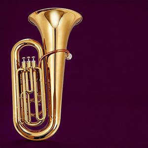 Tuba <span class=keywords><strong>Sousaphone</strong></span> Professionnelle, Instrument à Vent en Laiton pour Adultes et Débutants, Vente Directe d'Usine - Product Image 2