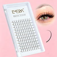 EMEDA Vison Impression 3D Anime Spire Premade Lashes Volume Spike Extensions de Cils Fournitures En Gros Doux Comic Spire Lash Trays