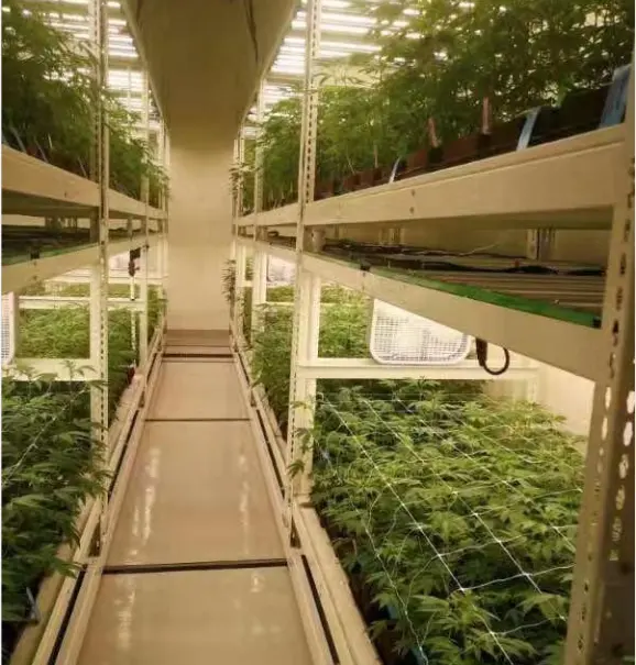 Estantes móviles de 2 niveles para cultivo Vertical, mesas de flujo Ebb para agricultura comercial