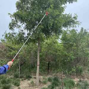 Chuyên nghiệp nhà máy điện pruner với kính thiên văn cực và động cơ đồng cho chính xác trang trí của cây ăn quả và rau quả - Product Image 5