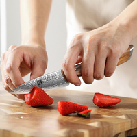 Scherp Damascus staal 73 lagen poederstaal olijfhouten handvat keuken fruit schilmes