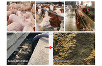 Machine de séchage de fumier de ferme (porc, poulet, vache) avec presse à vis et filtre à tamis pour la déshydratation des déchets animaux