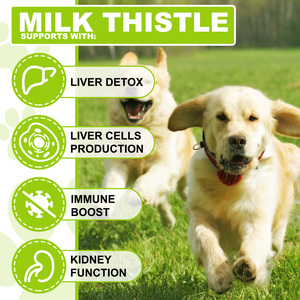 Oimmal Gouttes liquides de chardon-Marie pour chiens : Soutien hépatique et rénal avec curcumine et huile de saumon d'Alaska oméga-3 - Product Image 4