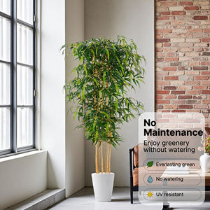 <span class=keywords><strong>Piante</strong></span> Artificiali di Bambù <span class=keywords><strong>in</strong></span> <span class=keywords><strong>Vaso</strong></span> Stile Nordico per Soggiorno, Hotel, Ufficio, Nuova Decorazione Paesaggistica <span class=keywords><strong>in</strong></span> Stile Cinese Resistente ai Raggi UV - Product Image 5