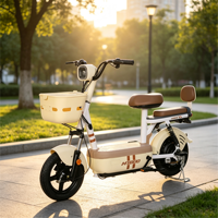 Vélo électrique léger à 2 places pour adultes, scooter électrique pour deux passagers, batterie 48V, vélo électrique pour les déplacements quotidiens