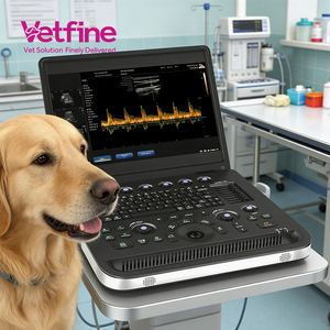 Dierenartsen Ecografie Apparatuur Hot Sales Kleuren Doppler Echografie Systeem Diagnostische Echografie voor Ziekenhuis Kliniek - Product Image 1