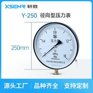 Manomètre Suzhou Xuansheng Y250 1,6 Mpa, 250 mm, acier inoxydable, raccord fileté, pour utilisation avec chaudière à vapeur - Product Image 4