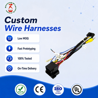 Câble de commande de frein et faisceau de câbles de connecteur automobile sur mesure en PVC 12V ISO9001 pour voiture