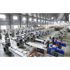 Macchina Automatica per l'Imballaggio di Cuscini con Corpo in Acciaio Inossidabile, Pulita e Igienica per l'Industria Alimentare e del Packaging - Product Image 5