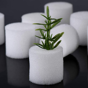 Mini planta de espuma hidropónica, accesorios de siembra orgánica, <span class=keywords><strong>esponja</strong></span> hidropónica, 10 Uds. - Product Image 3