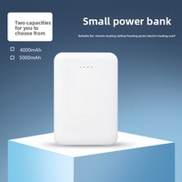 Batterie externe compacte 5W à logo personnalisé, chauffante, portable, 5000mAh, USB Type-C, alimentation mobile pour vêtements, mini, en plastique