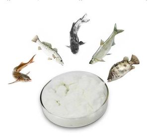 ซื้อสารเติมแต่งอาหารสัตว์น้ำ Mtl Cas 62637-93-8 <span class=keywords><strong>Trimethylamine</strong></span> N-ออกไซด์ไดไฮเดรท/ปูปลา TMAO สำหรับวัตถุดิบทางเคมี - Product Image 3